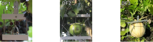 水果蔬菜生長(zhǎng)測(cè)量?jī)x 水果蔬菜生長(zhǎng)測(cè)量?jī)x