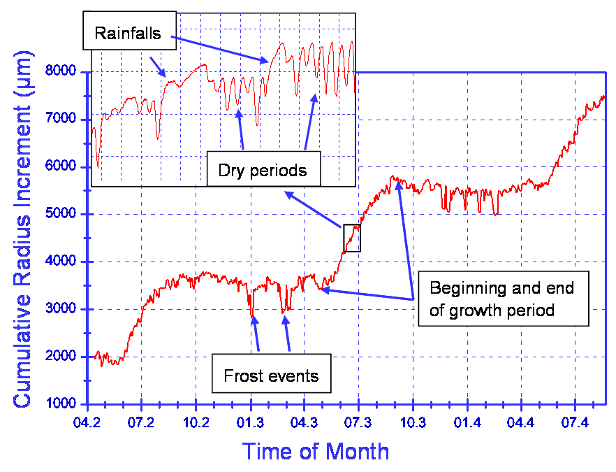 半徑生長測量儀 半徑生長測量儀