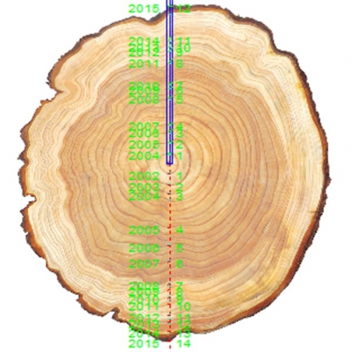 DJ-3400樹木年輪分析儀
